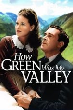 Nonton film How Green Was My Valley layarkaca21 indoxx1 ganool online streaming terbaru