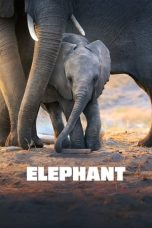 Nonton film Elephant layarkaca21 indoxx1 ganool online streaming terbaru