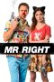 Nonton film Mr. Right layarkaca21 indoxx1 ganool online streaming terbaru