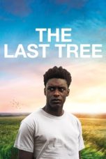 Nonton film The Last Tree layarkaca21 indoxx1 ganool online streaming terbaru