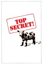 Nonton film Top Secret! layarkaca21 indoxx1 ganool online streaming terbaru
