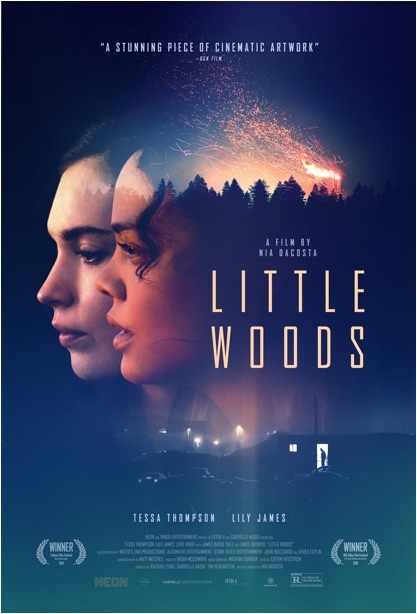 Nonton film Little Woods layarkaca21 indoxx1 ganool online streaming terbaru
