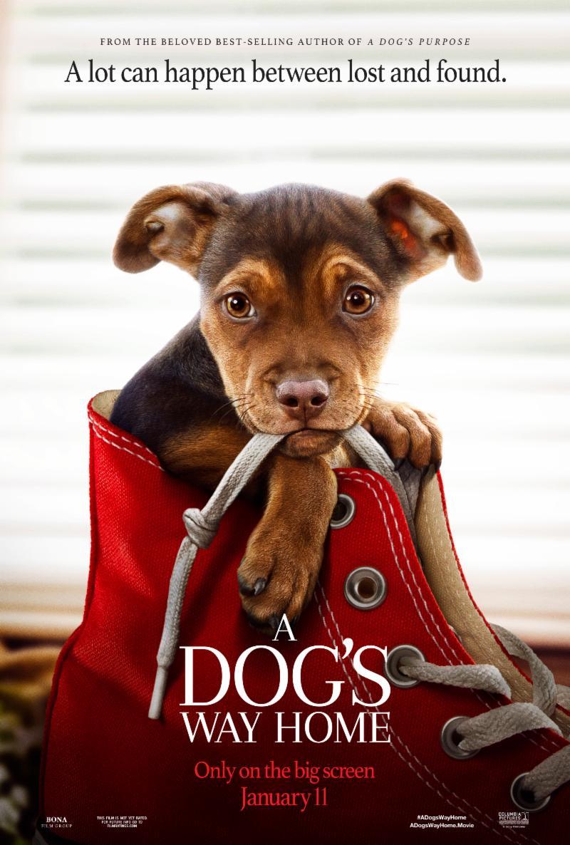 Nonton film A Dogs Way Home layarkaca21 indoxx1 ganool online streaming terbaru