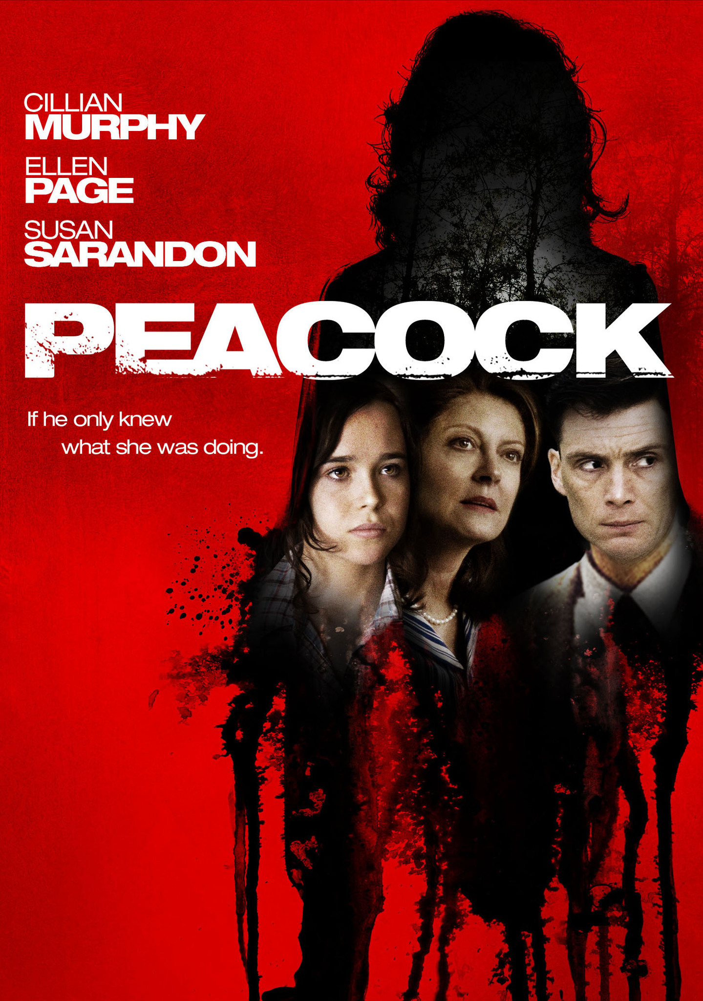 Nonton film Peacock layarkaca21 indoxx1 ganool online streaming terbaru