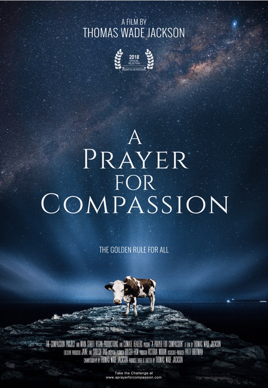 Nonton film A Prayer for Compassion layarkaca21 indoxx1 ganool online streaming terbaru