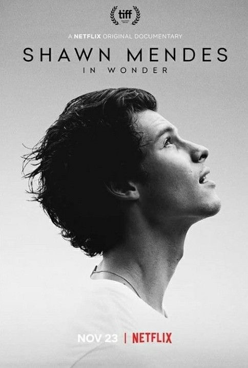 Nonton film Shawn Mendes: In Wonder layarkaca21 indoxx1 ganool online streaming terbaru