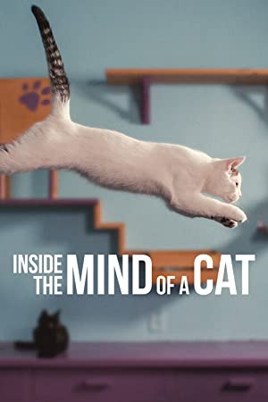 Nonton film Inside the Mind of a Cat layarkaca21 indoxx1 ganool online streaming terbaru