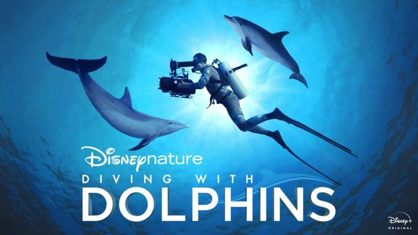 Nonton film Diving with Dolphins layarkaca21 indoxx1 ganool online streaming terbaru