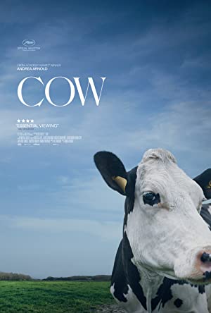 Nonton film Cow layarkaca21 indoxx1 ganool online streaming terbaru